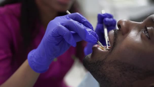 Close up de dentista profissional feminino em luvas de proteção azul e terno médico rosa, fazendo exame e tratamento de dentes de jovem bonito paciente masculino africano, na clínica odontológica moderna — Vídeo de Stock