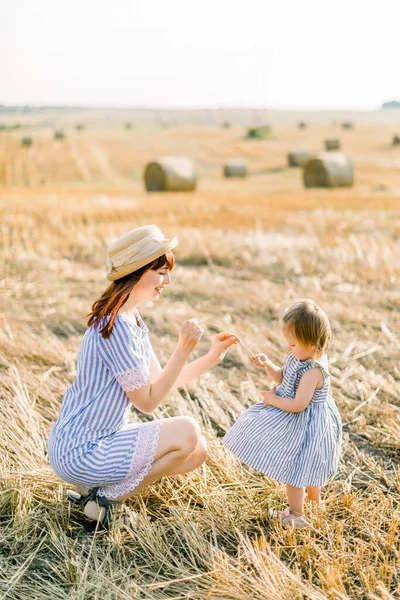 Tiro ao ar livre de mulher bonita com sua pequena filha criança vestindo vestidos listrados se divertindo no campo de trigo com pilhas de feno no dia de verão, brincando com espiguetas de trigo — Fotografia de Stock