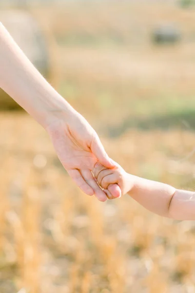 Feche a imagem cortada de mãos de mãe e pequena filha no verão de luz solar arquivado backgrund. Segurando um ao outro no campo de trigo com fardos de feno no fundo — Fotografia de Stock