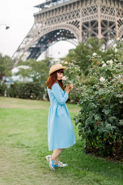 Giovane bella donna, vestita in elegante abito azzurro e cappello di paglia, cammina sulla strada della città di Parigi vicino ai cespugli di rose in fiore, toccando e annusando i fiori. Torre Eiffel sullo sfondo — Foto Stock