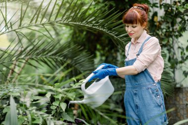 Gülümseyen genç bayan bahçıvan çiçekleri suluyor. Seradaki çiçekçiyi sularken mutlu ol. Bir serada bahçıvan çiçeklerini suluyor. Kadın bahçedeki çiçekleri suluyor.