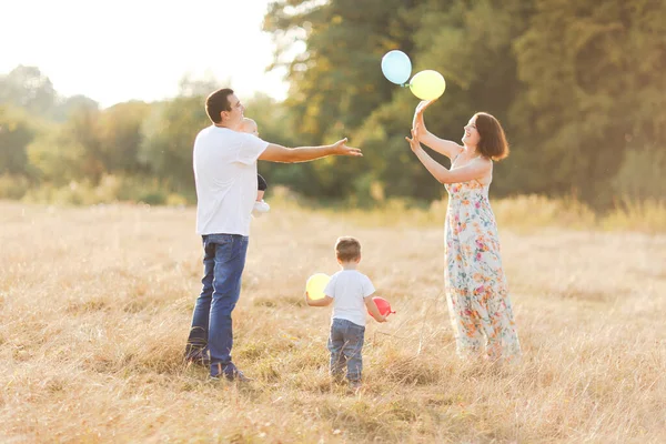 Çocuklarla dolu bir aile gün batımında yaz tarlasında yürüyorlar. Baba, anne ve iki çocuk yaz tarlasında eğleniyorlar. İnsanlar, aile günü ve yaşam tarzı konsepti — Stok fotoğraf