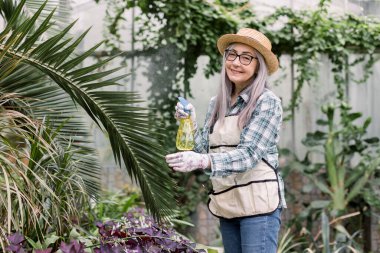 Çiçekçide ya da çiçekçide gülümseyen yaşlı kadın çiçekçi ya da bahçıvan tropik bitki ve çiçeklerle dolu serada, sarı fıskiye ile su püskürtüyor. Serada çiçekleri sulamak