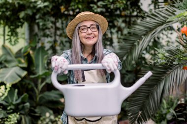 Hasır şapkalı ve gözlüklü, beyaz eldivenli oldukça yaşlı kadın çiçekçinin yatay görüntüsü, kameraya serasındaki çiçekleri sulamak için gri su bidonunu gösteriyor. Yüze odaklan.
