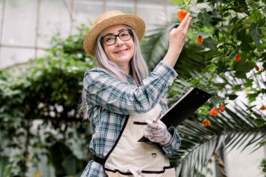 Beyaz saçlı, saman şapkalı, tropik palmiye ağaçlarının ve çiçeklerin arka planında serada duran, elinde notlarla pano tutan ve kameraya bakan yaşlı, beyaz saçlı, mutlu bir kadın bahçıvan.