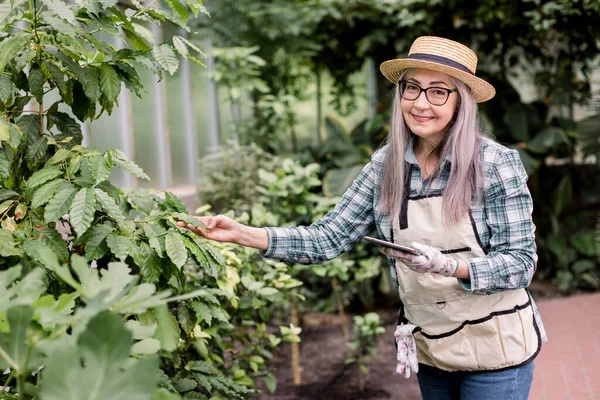 Gardening concept, working in greenhouse. Portrait of smiling pleasant Caucasian elderly grey-haired lady gardener, posing to camera in beautiful hothouse, using tablet pc, analyzing kinds of plants