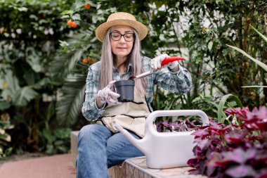 Güzel gülümseyen gri saçlı yaşlı kadın, şapka ve günlük giysiler giyiyor, bahçedeki bir seraya fidanlar ekerken, elinde siyah kazan ve kürek tutarken, toprak koyarak