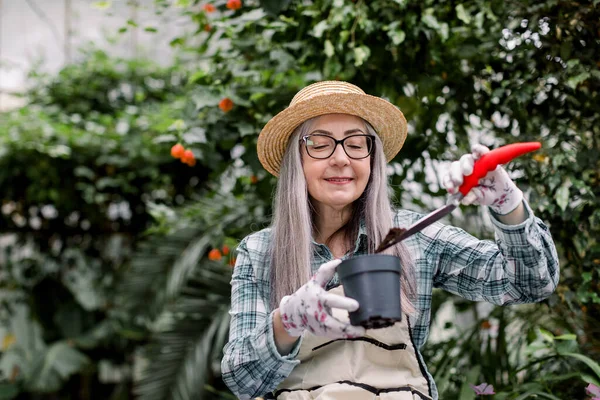 植栽と園芸の概念。藁帽子、エプロン、手袋のシニア白人女性庭師は、温室内の植物を移植しながら、土で植物ポットと庭のスペードを保持します. — ストック写真