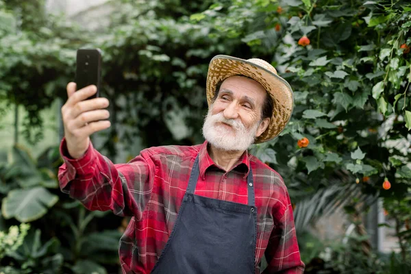 Retrato del hermoso y alegre jardinero barbudo de los años 60, con camisa a cuadros, delantal y sombrero de paja, de pie en un hermoso naranjero y divirtiéndose mientras se hace selfie en el teléfono inteligente —  Fotos de Stock
