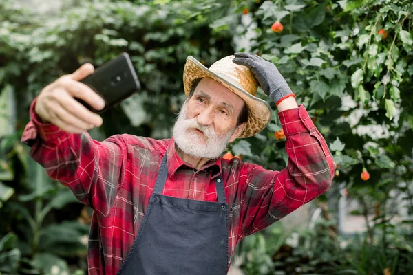 Ευχάριστη θετική χαρούμενη ηλικιωμένος κηπουρός με ψάθινο καπέλο, ποζάρει σε όμορφο θερμοκήπιο με εξωτικά φυτά και φοίνικες ενώ βγάζει selfie φωτογραφία ή δείχνει βίντεο χρησιμοποιώντας το smartphone του. — Φωτογραφία Αρχείου
