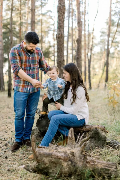 Sonbahar ormanında aile yürüyüşü. Güzel genç anne ve küçük oğlu devrilmiş bir ağacın kütüğünde oturup yakışıklı sakallı babalarıyla eğleniyorlar.. — Stok fotoğraf