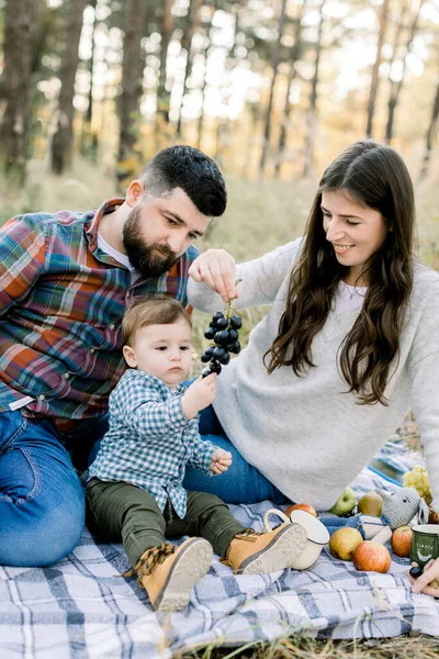 Aile, ilişkiler ve insan kavramı. Mutlu baba, anne ve küçük çocuk sonbahar ormanında birlikte eğleniyor, kareli battaniyede oturuyor ve meyve ve üzüm yiyor. — Stok fotoğraf