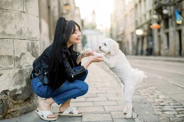 Young Asian urban girl wearing stylish casual clothes, jeans and leather jacket, walks with little cute white dog on the street against the background of the wall, and old vintage buildings — Stock Photo, Image