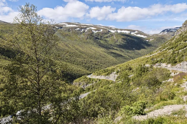 Mountain Road Flaam Norway — Stock Photo, Image