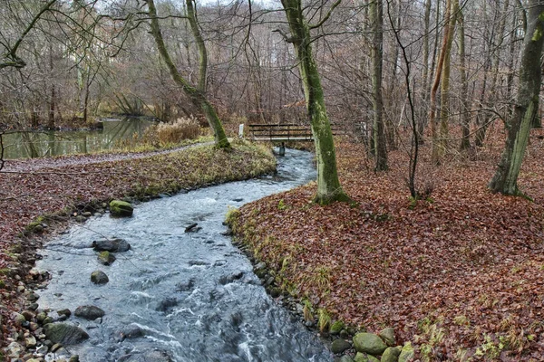 Sturz Einem Bach Wald Bei Aarhus Dänemark — Stockfoto