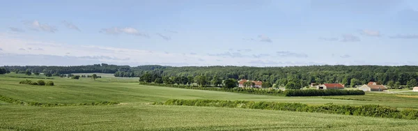 Duńskiej Wsi Lecie Panoramy — Zdjęcie stockowe