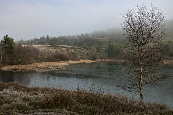 Silkeborg, Danimarka yakınındaki bir moor puslu sabah