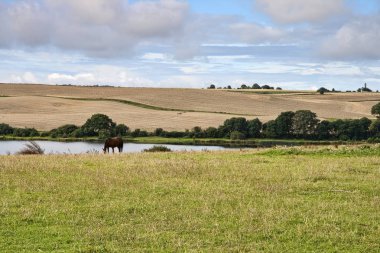 Gölde hasat sonrası. Arka plan olarak kullanılabilir