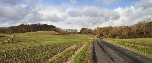 Country Road at the Forest — Stock Photo, Image