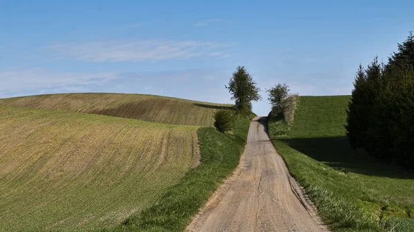 Dirt Road in the Fields — Stock Photo, Image