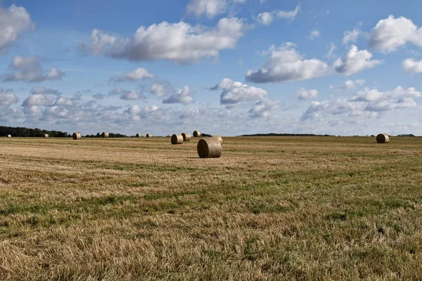 Strohballen — Stockfoto