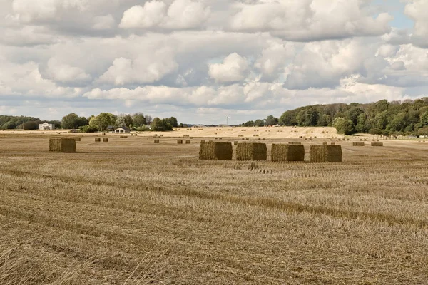 Тюки соломы в поле — стоковое фото