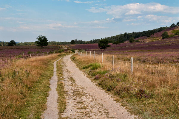 Хемсворт на холме возле Силкеборга, Дания