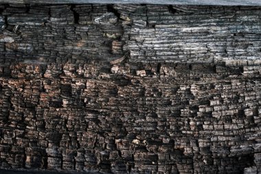 Eski ahşap doku arkaplanı