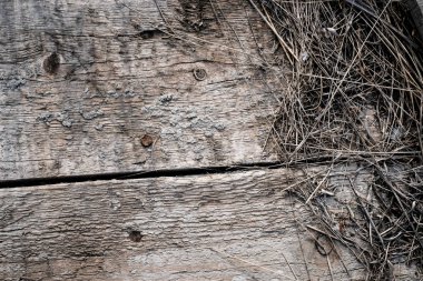 Eski ahşap doku arkaplanı