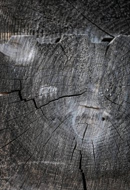 Eski ahşap doku arkaplanı