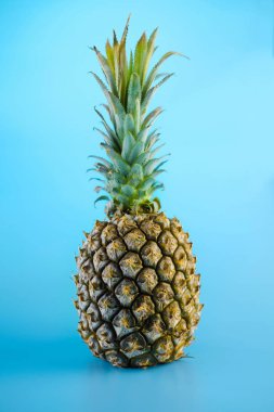 Mavi arka plan üzerinde ananas Yaz desen