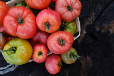 Ahşap arka planda taze domates