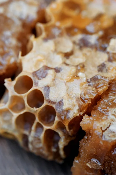 Honyecomb kapatma şablonu.