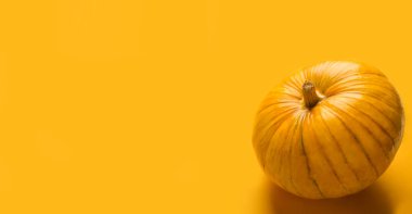 Turuncu arka planda sonbahar balkabağı afişi. Boşluğu kopyala.