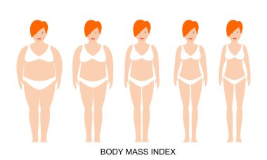 Açık tenli kadın siluetlerinin vektör illüstrasyonu. Normalden aşırı obeze farklı kiloya sahip kadınlar. Kilo kaybı kavramı. Vücut kitle indeksi. 