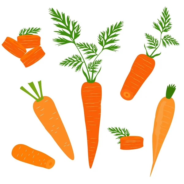 Establecer Iconos Zanahorias Clipart Vectorial Verduras Ecológicas — Vector de stock