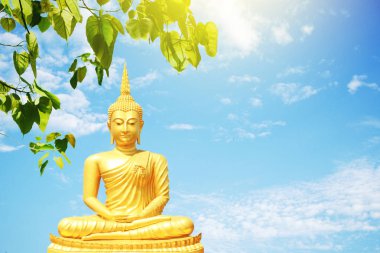 Altın Buddha statue Bodhi ağacının altında bırakır