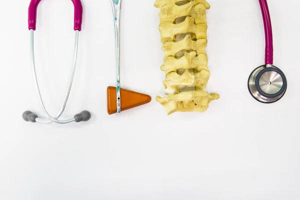 Close Stethoscope Knee Jerk Spine Model White Background — Stock Photo, Image