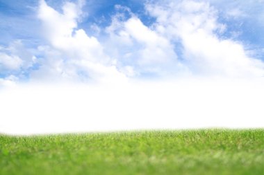 Bulutlar ile mavi bir gökyüzü altında yeşil buğday alanı. Yeşil ve mavi renklerin fantastik karşıtlığı