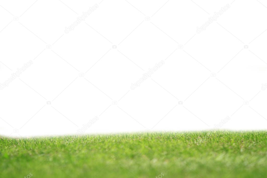 Abstract natural green grass on white  backgrounds 