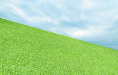 suni çim yeşil yaprak ve gökyüzü arka plan