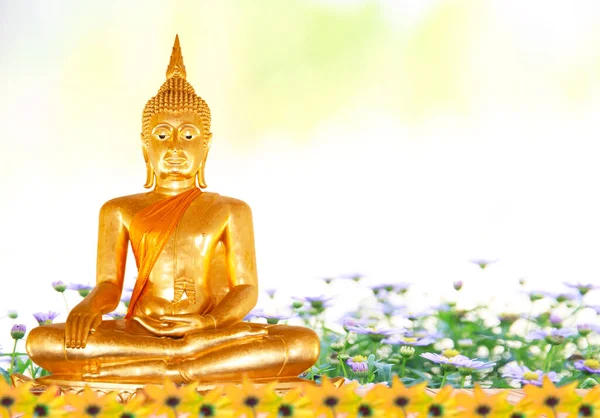 Gloden Buddha statue sitting and background blurred flowers and sky with the light of the sun.