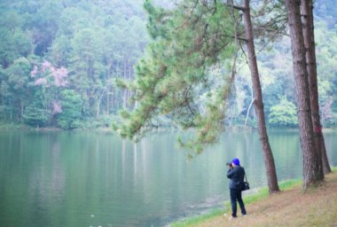 Çam ormanının altında yüksek izo taneli fotoğrafçı görüntüsü. Doğa fotoğrafçısı daha büyük ağaçta duruyor ve dağlarda ve göl manzaralarında fotoğraf çekiyor.