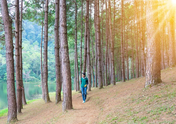 一个美丽的女人 在早晨 看到了松树林 阳光灿烂地穿过湖面 女人在松树小巷里散步 冬季森林中美丽而神秘的人行道小径 — 图库照片