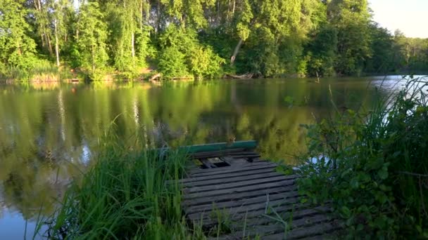 Colorido verano en el estanque de pesca — Vídeo de stock