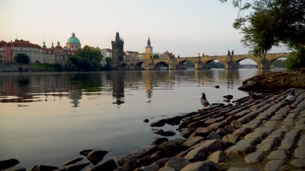 Karlsbrücke bei Sonnenaufgang — Stockvideo