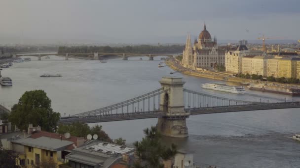 Uccelli a Budapest — Video Stock