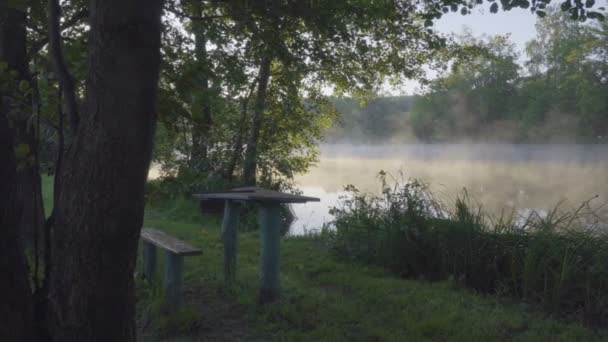 Sisli sabah ve nehir — Stok video