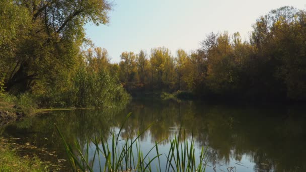 Inizio autunno sul fiume — Video Stock