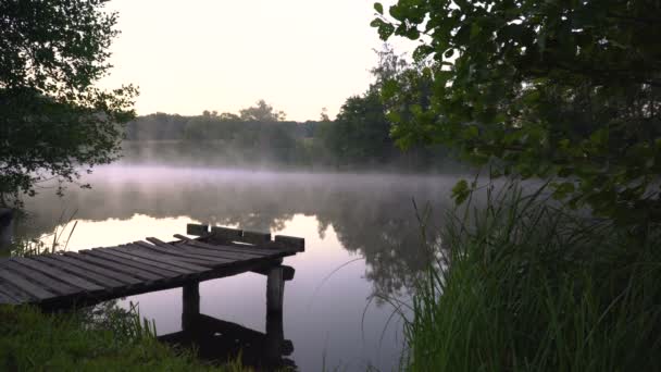 早上的雾气 — 图库视频影像